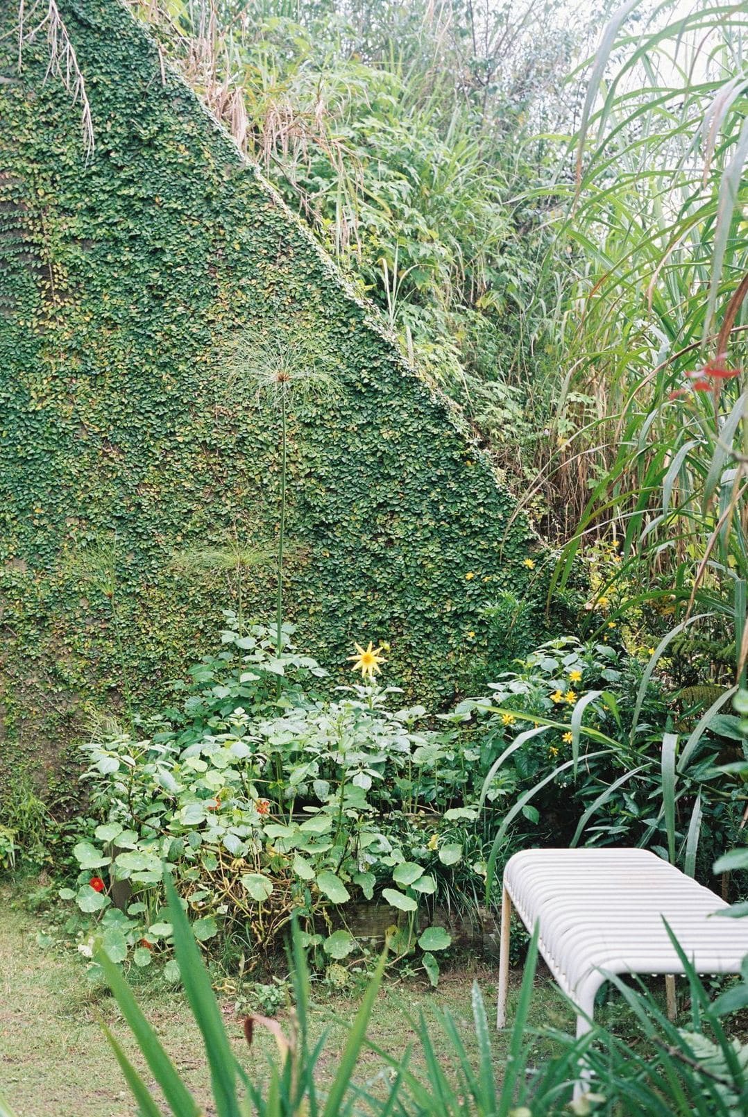 外構と植栽をなじませるコツ