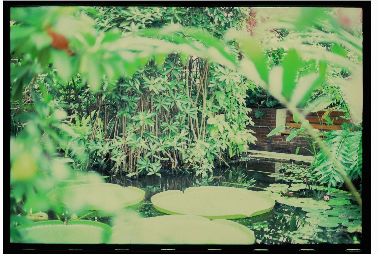 みどり庭園